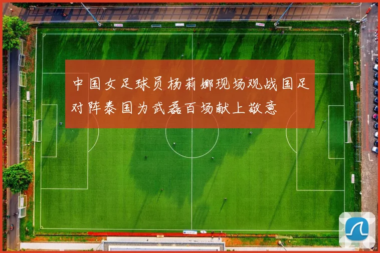 中国女足球员杨莉娜现场观战国足对阵泰国为武磊百场献上敬意