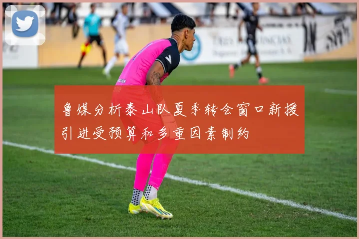 鲁媒分析泰山队夏季转会窗口新援引进受预算和多重因素制约
